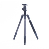 Marsace MT-2541TL+FB2+DP-60